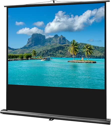 celexon Ultramobile professional Pull-Up-Screen 55 | 120x90 cm 4:3 | Portable 4K, Full-HD projector screen for lightning-fast extension & set-up | incl. carrying handle + telescopic pole