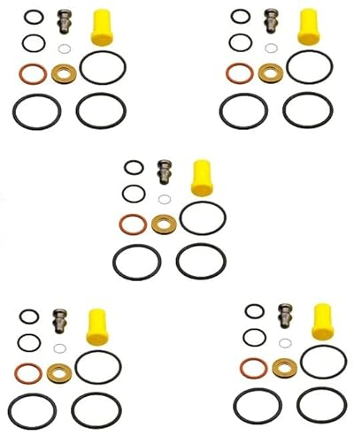 Reparatur- Dichtsatz 5 x 10-teilig für Pumpe-Düse Einheit