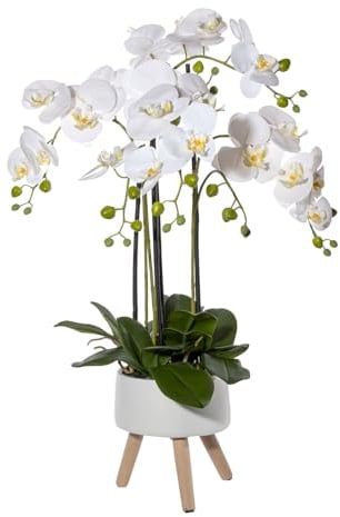 CREATIV green stilvolle Phalaenopsis Kunstorchidee 75cm in weiß I künstliche Orchideen wie echt mit Keramikschale in 18x9cm & naturgetreuen Blüten I Real Touch täuschend echte Kunstblumen