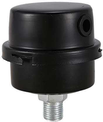 Peowuieu Filtro di aspirazione per compressore d'aria 1/4 13 mm, filettatura nera
