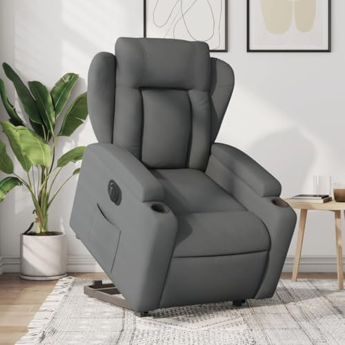 Willood Relaxsessel mit Liegefunktion Fernsehsessel mit Aufstehhilfe Elektrisch Dunkelgrau Stoff