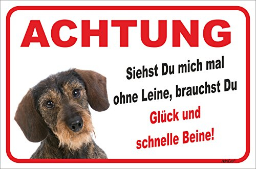 AdriLeo Schild - Vorsicht Rauhaardackel - Ohne Leine - (20x30cm) / Achtung Hund Wachhund Dackel Teckel Dachshund robust langlebig UV-beständig wetterfestes Warnschild