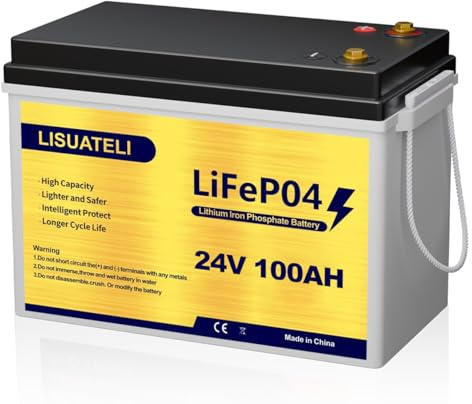 24V 100Ah LiFePO4 Lithium Batterie mit Integriertem 100A BMS und Tieftemperaturschutz, für 24V Trolling Motor(boote), Solaranlage, Wohnmobil und netzunabhängige Anwendungen