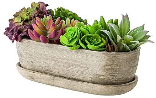 botle Keramik Blumentopf Blumenschale Kakteenschale Untersetzer Wasserloch Kakteen Bonsai Sukkulenten (oval, Beton grau)