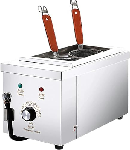 Cuocispaghetti Elettrico Commerciale, Macchina per Cucinare Noodles in Acciaio Inossidabile a 2 Fori, Pentola per Pasta da 2Kw, Temperatura Regolabile 30-110°C, per Ristoranti Negozi di Snac