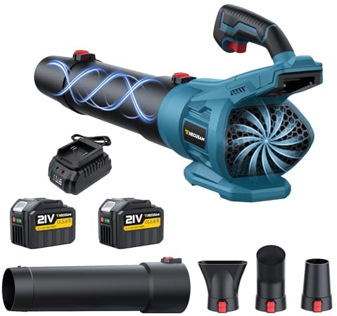 Souffleur sans Fil, Moteur sans Balais, 288 km/h Et 800 m³/h, avec 2 Batteries Et Chargeur, Souffleur Batterie avec 3 Buses De Soufflage pour L'Entretien du Jardin, Léger et Puissant