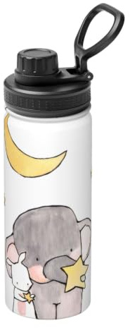 Vacuum Insulated Water Bottle - Stainless Steel Sports Water Bottle (18oz)