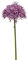 artplants.de Künstliche Blume Allium ARNAU, violett, 60cm - Kunstblume Zierlauch