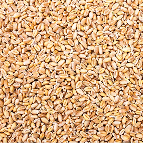 Petigi 10 Kg Weizen Hühnerfutter Hühner Huehner Futter Futterweizen Weizenfutter Weizenkorn Korn Getreide Geflügelfutter Sack Weizenkoerner Koerner Wildvögel
