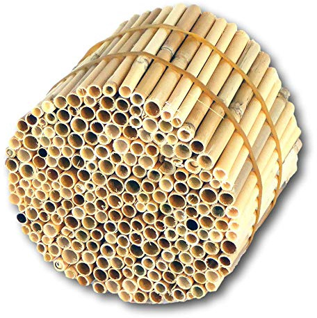 BeeCasa Schilfrohrhalme - Niströhren Premium | Geschälte Nisthülsen | 11 cm | Schilfhalme Füllmaterial für Insektenhotel & Bienenhotel | Nisthilfen für Wildbienen | Auch zum Basteln & Deko | Hiss Reet