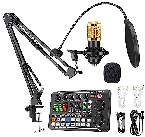 SIBORIE F998 Podcast Equipment Bundle for Tiktok and YouTube Vlog,Sound Board with Audio Interface,Condenser Karaoke Microphone,Streaming Podcast Starter Kit DJ Audio Mixer (F998+BM800 MIC)