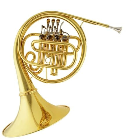 Waldhorn für Anfänger Goldenes B-Waldhorn-Blechinstrument Aus Messing, Goldlackiertes Waldhorn Mit Koffer Und Zubehör