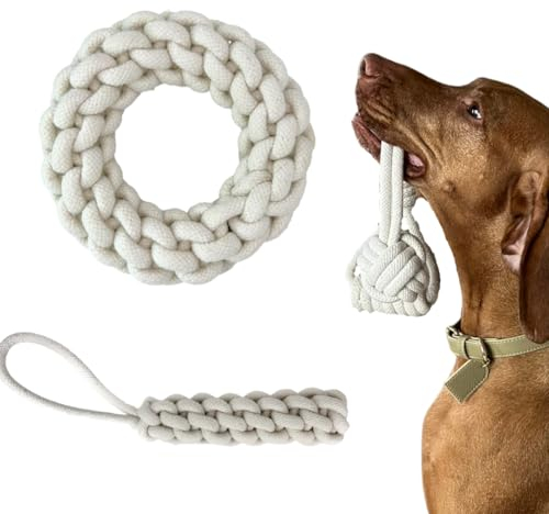DOYS Premium Hundespielzeug 3er Set Seilspielzeug für kleine mittlere große Hunde Welpenspielzeug aus 100% natürlichen Materialien interaktives Hunde Spielzeug, Dog Toys, hundezubehör (Beige Groß)