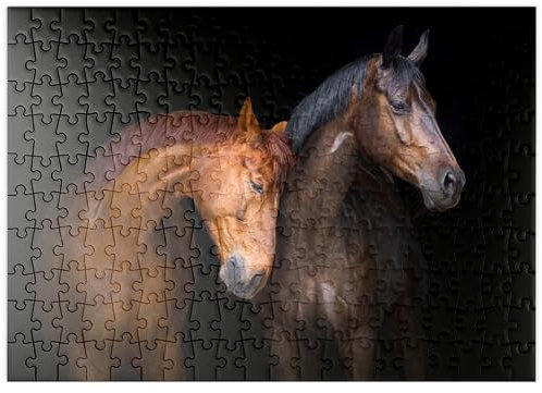 MyPuzzle Zwei Pferde vor schwarzem Hintergrund - Premium 200 Teile Puzzle - MyPuzzle Sonderkollektion von Puzzle Galaxy