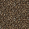 HEKO PANELS Oxford Wasserdichte Meterware Canvas Polyester Stoff Zum Nähen, Dekostoffe Wasserabweisend Blickdicht Leopard Tupfen 5 Meter 155 x 500 cm