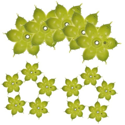 Yardenfun 50pièces Lot de Calices Et Sépales De Fleurs Plastique Réceptacles pour DIY pour Tige