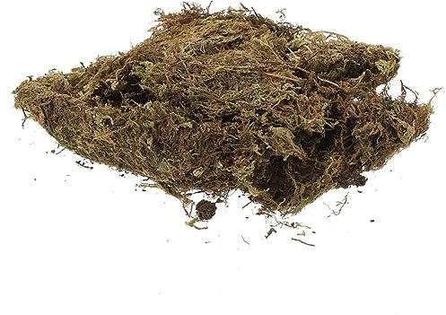 DIYEAH 2packungen Getrocknetes Moos Bonsai Flechten Garten Deko Natürliches Moos Für Topf DIY Microscene