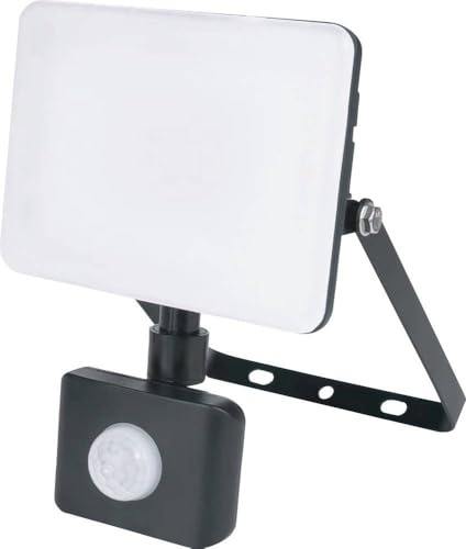 Müller-Licht Orlando 21600072 LED-Außenstrahler mit Bewegungsmelder 20 W Neutralweiß