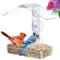 Large Window Bird Feeder 23.5x11.5x5.6H centimetres - Attract Wild Birds for Clear Viewing, Bird Feeders for Outdoors Garden, Unique Gift for Women
