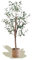 Maia Shop | Olivier Artificiel | Plante Artificielle interiur | Plante Artificielle | Mesures: 105 x 50 cm | Fausse Plante | Arbre Artificiel | Decoration Maison | Minimaliste