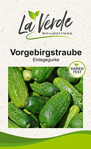 Gurkensamen Vorgebirgstraube, Einlegeurke Portion