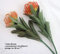 1 Deko-Blume „Leucosperum Cordifolium“ orange, ca. 68 cm