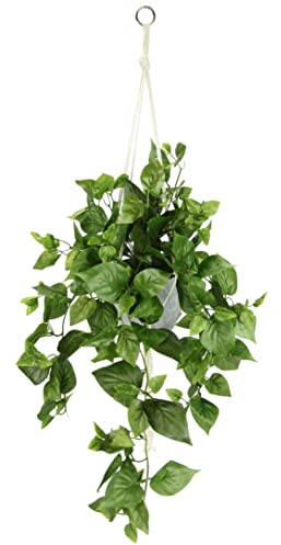 Flair Flower Realistische künstliche Philodendron Hängepflanze in Makramee Ampel - Pflegeleichte Kunstpflanze mit grünen Blättern für Wohnzimmer, Schlafzimmer, Büro und Wintergarten Dekoration