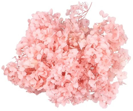 Amosfun 1packung Ewige Blütenblätter Aus Getrockneten Hortensien Rosa Für Deko Und Nagelkunst Natürliche Konservierung Für Hochzeiten Und Partys Kreative Bastelideen