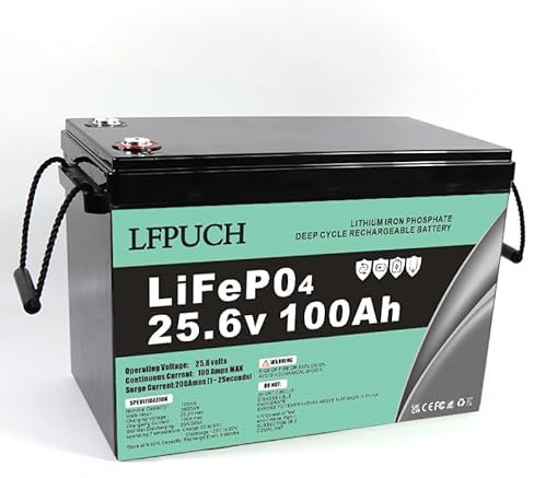 LiFePO4 Batterie 24V 100 Ah, Lithium Freizeitbatterie, Lithium Eisenphosphat Batterie anstelle von Auto AGM Batterie oder Deep Cycle-Batterie, für Wohnmobil, Boot, Solaranlage,Outdoor-Camping usw.