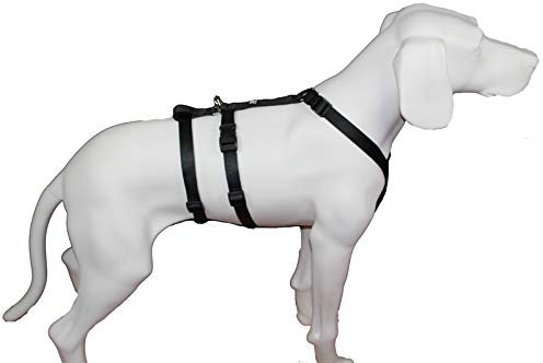 Hoffmann No Exit ausbruchsicheres Hundegeschirr für Angsthund, Sicherheitsgeschirr für Pflegehunde, Panikgeschirr, Unifarben Schwarz, Bauchumfang 35-50 cm, 15 mm Bandbreite