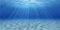MIRRORANG 120x61cm Undersea Theme Aquarium Background Sunshine Underwater World Fish Tank Decoration Backdrop Vinyl Background