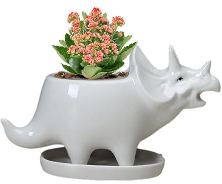 Pots Succulents - Jardinière Succulente De Dinosaure en Céramique, Vase De PIante De Fleur De Pot en Céramique De Dinosaure | Pot De Fleurs De Dinosaure, Vase d'art pour Jardin Et Décoration De Maiso