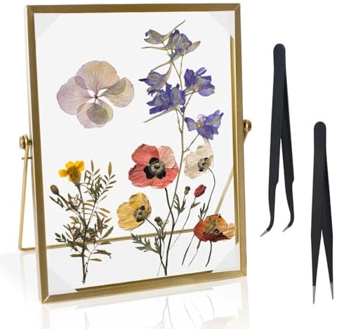 FooYee Glasbilderrahmen Gold, glasrahmen für gepresste blumen 17 x 22 cm, Doppelglas Bilderrahmen, fotorahmen durchsichtig für Pflanzenexemplen, Fotos, Kunstwerke und Tischdisplay