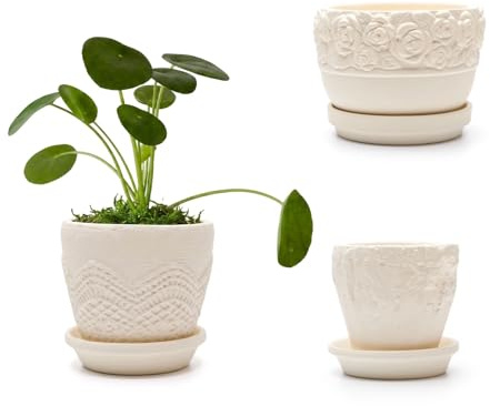Rujevia Juego de 3 Macetas para Suculentas, 10+9+8cm, Color Beige | Mini Macetas de Cemento, Con Platillo, Para Cactus y Plantas en Miniatura, Macetas Decorativas Interior