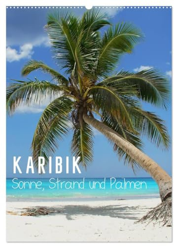 Karibik - Sonne, Strand und Palmen (Wandkalender 2026 DIN A2 hoch), CALVENDO Monatskalender: Die schönsten Strände der Karibik machen Lust auf Meer! (CALVENDO Natur)