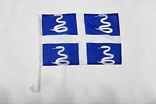 AZ FLAG - Drapeau Martinique Pour Décoration Voiture Avec Attaches En PVC Et Système d'Accroche - Car Flag Martiniquais - France - 100% Polyester - 50g - 45x30 cm