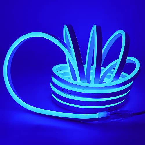 Striscia LED Neon 2835 Tubo LED Flessibile Impermeabile Luminosa 220V IP65 120 LED/M Corda Stringa Lampada con Alimentatore di rete e Dimmerazione manuale Controller,per Camera da Letto (8m, Blu)