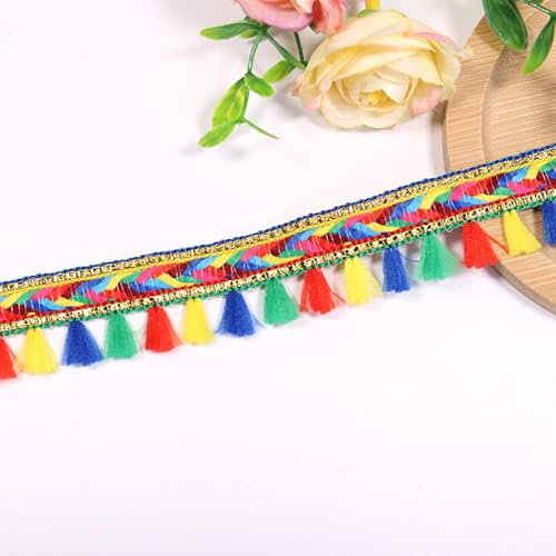 5.6 Meter Quaste Trim Band Pompon Borte Fringe Pompoms Bunt Fransen Quasten Trim Fransen Spitzenborte Pomponborte Pom Bommelborte Pom Poms Balls Fransenbesatz FüR Heimwerker NäH ZubehöR Dekoration (C)