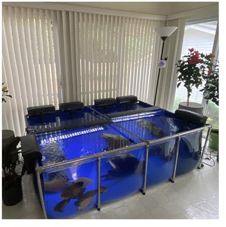 Großer Hinterhof-Aquarium-Pool-Teich – Outdoor-Fischzuchtbecken mit transparentem Sichtfeld, stabilem Stahlrahmen und PVC-Leinwand, inklusive Ablaufventil für einfache Wartung (150 x 100 x 61 cm)