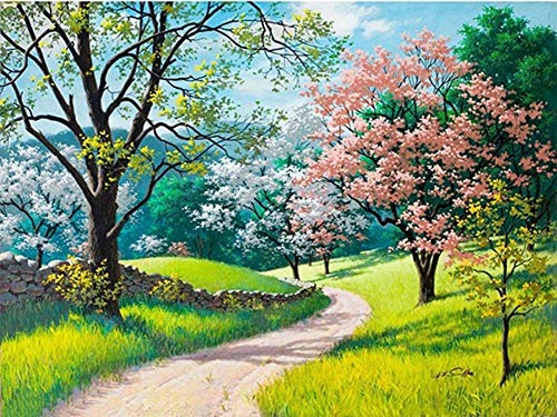 YEESAM ART Peinture Numero chemin de cerisier arbres à fleurs de printemps, Bricolage Peinture par Numero 40x50 cm Acrylique Decoration Murale