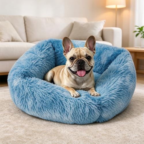 PETCUTE Katzenbett,Plüsch Haustierbett für Katzen und Hunde,Warme Weiche Bequeme Hundebett Flauschig,Waschbar Katzenschlafplatz,für Kleine,Mittelgroße und Große Katzen, Hunde und Andere Haustiere,L