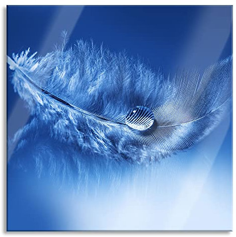 Pixxprint Glasbild, Wandbild auf Echtglas, Wassertropfen auf Feder, 60x60 cm, inkl. Aufhängung und Abstandshalter