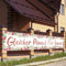 LAMEK JGA Banner Gleicher Pimmel für Immer Partysbanner 300x50cm Rosa Junggesellinnenabschied Hintergrund Extra Lange Braut Deko für Junggesellen Abschied Bachelorette Party Brautdusche