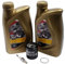 2EXTREME Ölfilter Öl Zündkerze Agip eni i-Ride 5W-40 GT kompatibel mit Vespa GTS 300
