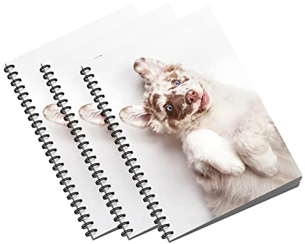 Primus Print Spiral-Notizblock Schreibblock Design-Block Collegeblock - A4 - kariert - 80 Blatt / 160 Seiten - Schule - Büro - Kinder (3, Australian Shepherd)