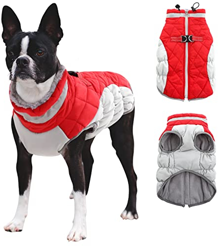 CITÉTOILE Hundemantel für Kleine Hunde Mit Geschirr - Warme, Wasserdichte Hundejacke Mit Fleece Gefüttert, Winddichte Reflektierende Winterweste für Dackel, Bulldogge