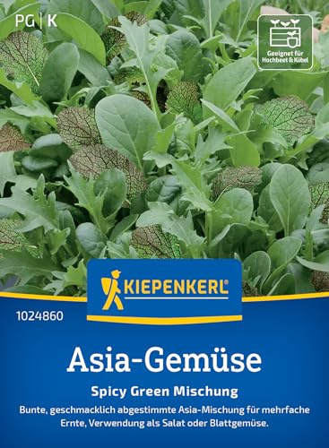 Kiepenkerl Asia-Gemüsesamen Spicy Green Mischung 1024860, Gemüsesaat | Geschmacklich abgestimmte Gemüsesamen-Mischung für Salate & asiatische Gerichte