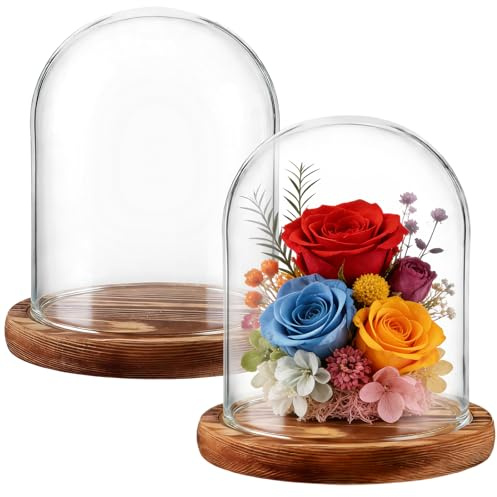 AKOLAFE 2 Stück Glasglocke mit Holzboden 15cm Hoch Glaskuppel Deko 12cm Durchmesser Glashaube Glasglocke Transparent Glasglocke Deko für Puppen, Kerzen, Sammlerstücke