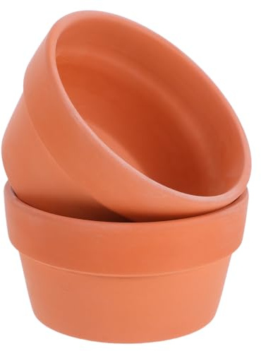 Happyyami Terrakotta Pflanztöpfe 2 Stück mit Abflussloch 12,5Cm Durchmesser Flache Tontöpfe für Kakteen und Wohnzimmerpflanzen