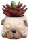 Youfui Niedlicher Hunde-Blumentopf, Kunstharz, Sukkulenten, Schreibtisch, Mini-Ornament (Mops)